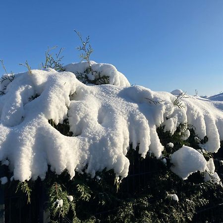 Hainewalde Ferien Am Hofe 아파트 외부 사진